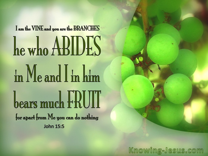 John 15:5 I am the vine, you are the branches; he who abides in Me and ...