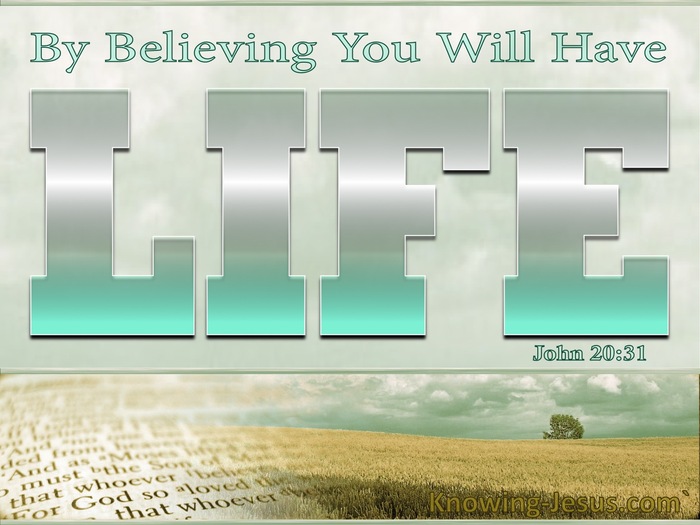 John 20:31 By Believing You WIll Have Life (silver)