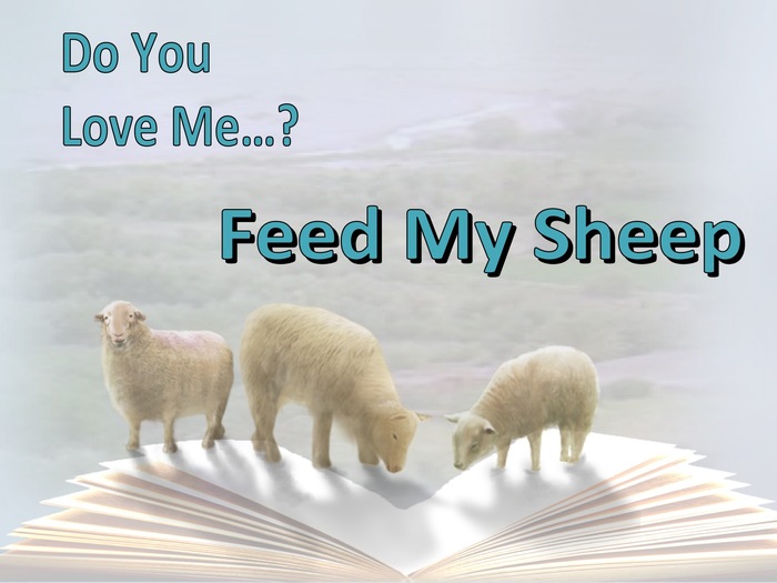 Kjv Feed My Sheep Oultet Website | www.gbu-presnenskij.ru