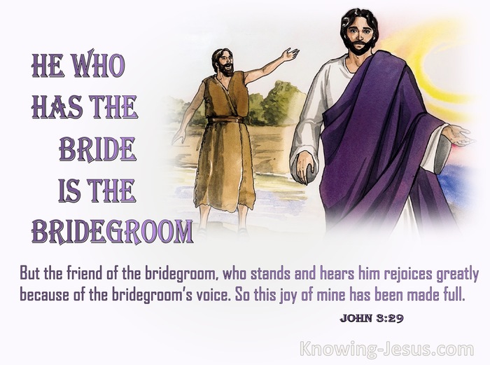 John 3:29 He Who Has The Bride Is The Bridegroom (pink)