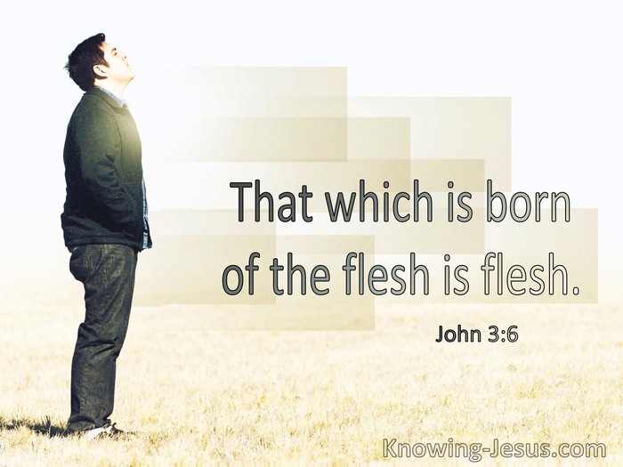 John 3:6 That Born Of The Flesh Is Flesh (windows)02:12