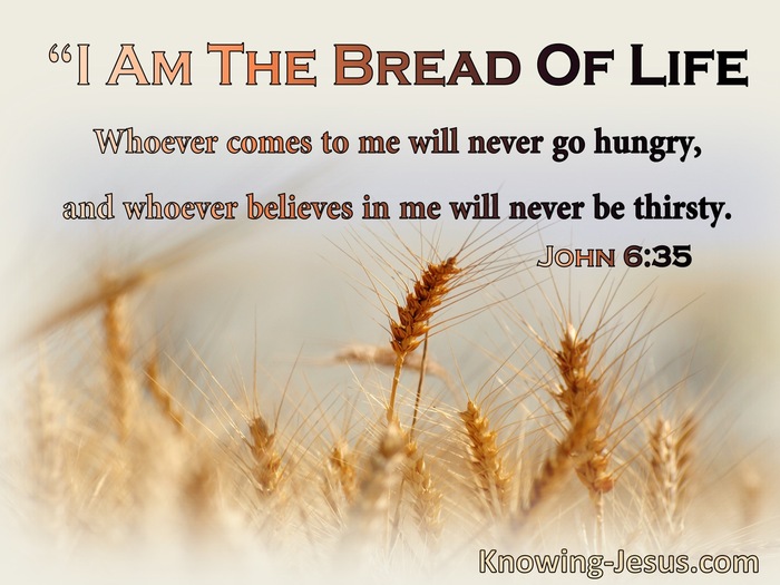 John 6:35 I Am The Bread Of Life Whoever Comes To Me Will Never Hinger Or Thirst (blue)