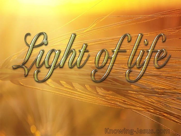 John 8:12 Jesus Is The Light Of TheWorld (yellow)