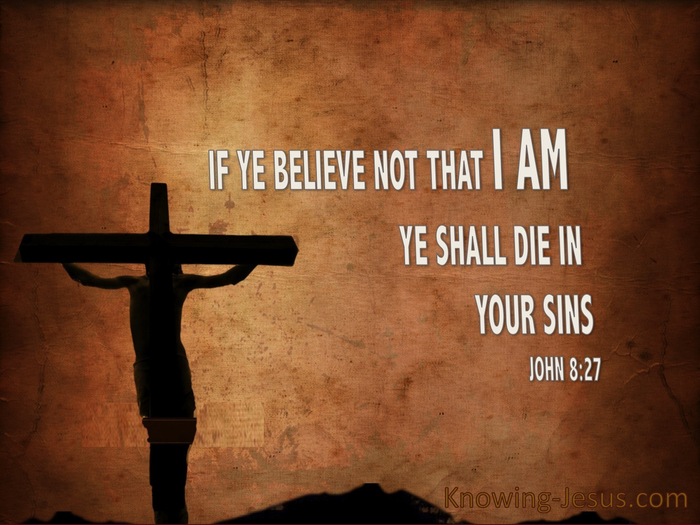 John 8:24 If Ye Believe Not Ye Shall Die in Your Sins (brown)