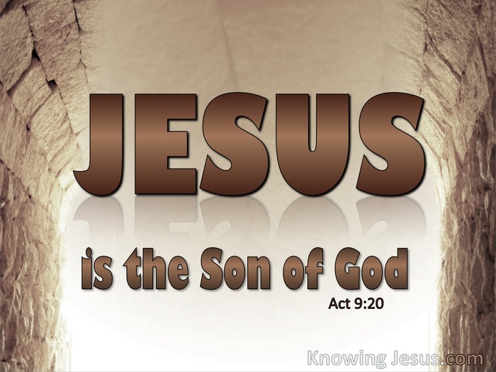 Acts 9:20 He Is The Son Of God (brown)