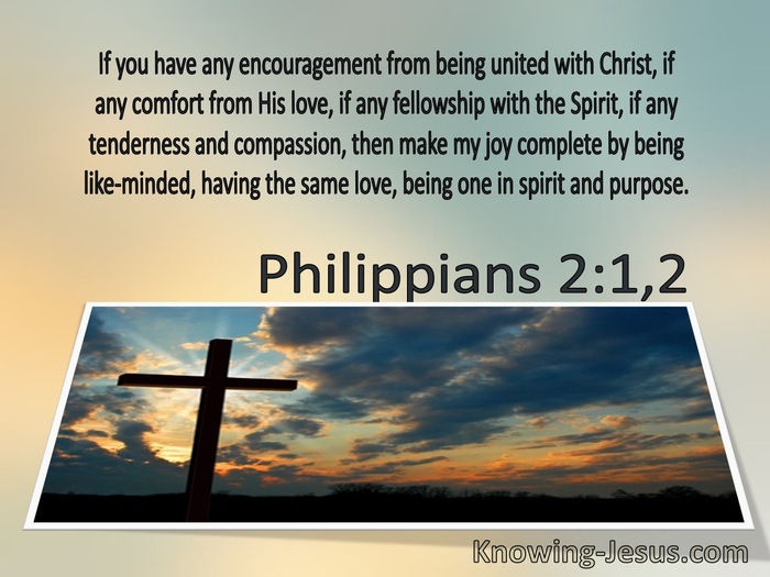 Philippians 2:1,2 Make My Joy Complete (brown)