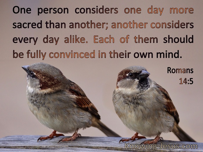 Romans 14:5 Each Should Be Convinced In Their Own Mind (brown)