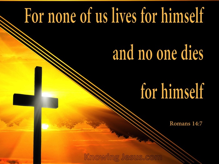 Romans 14:7 For None Of Us Lives For Himself (orange)