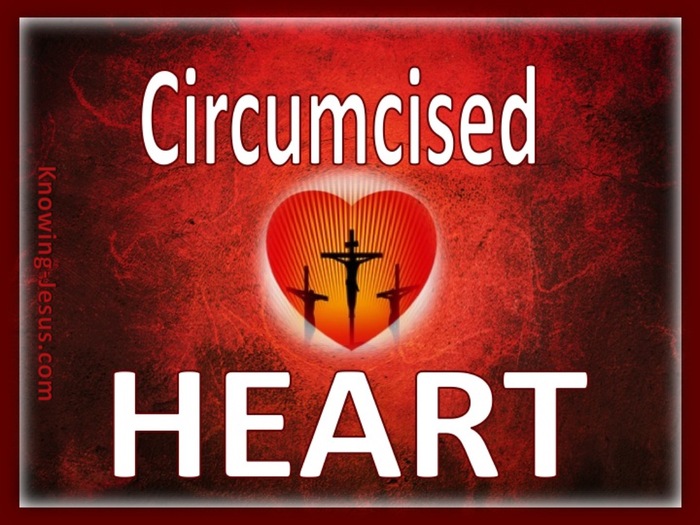 Romans 2:29 Circumcised Heart (red)