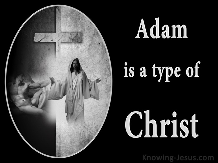 Romans 5:14 Adam Is A Type Of Christ (gray)