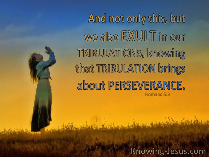 perseverance bible verse