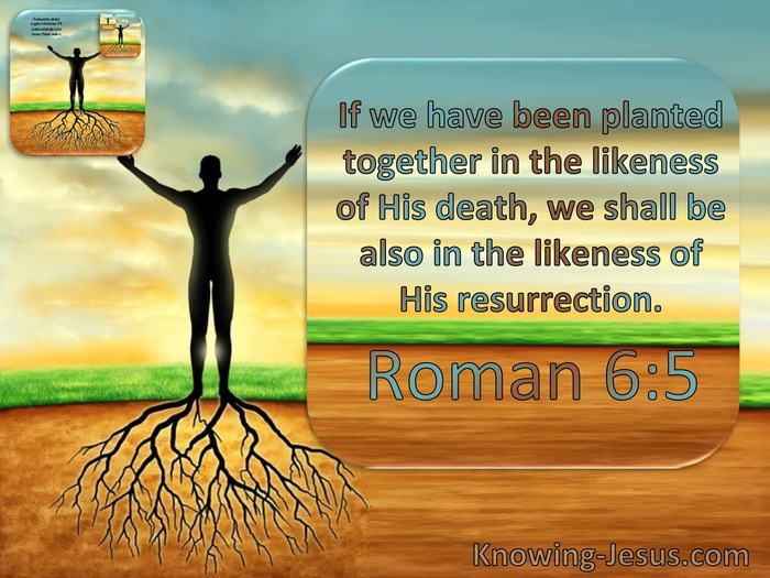 Romans 6:5 We Have Been Planted Together In The Likeness Of His Death And Resurrection (windows)01:17