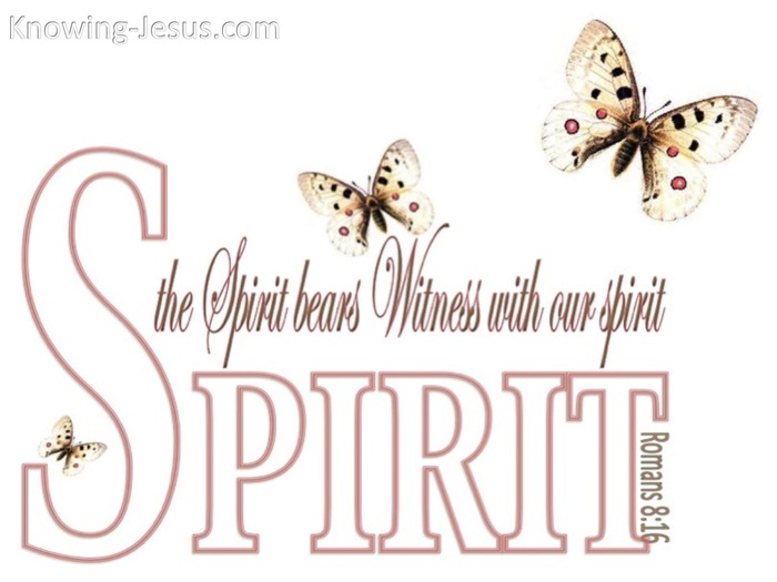 Romans 8:16 TheThe Spirit Bears Witness (white)