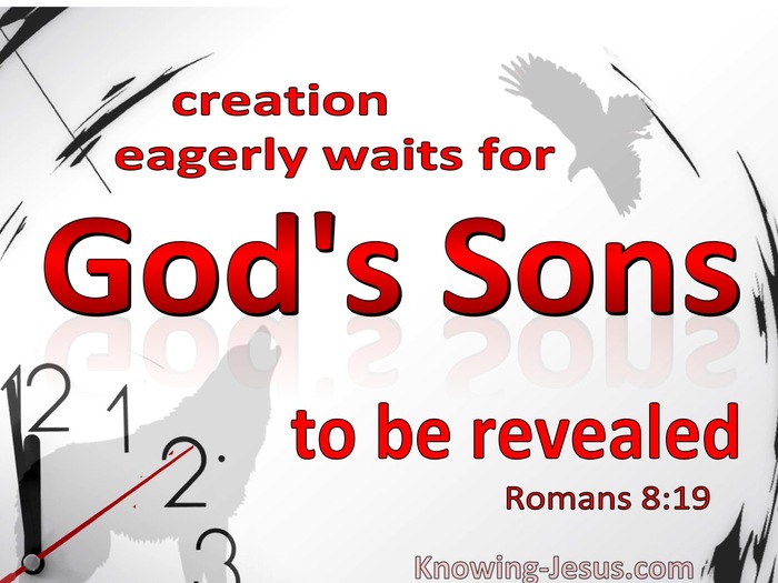 Romans 8:19 All Creation Waits For God's Sons To Be Revealed (white)
