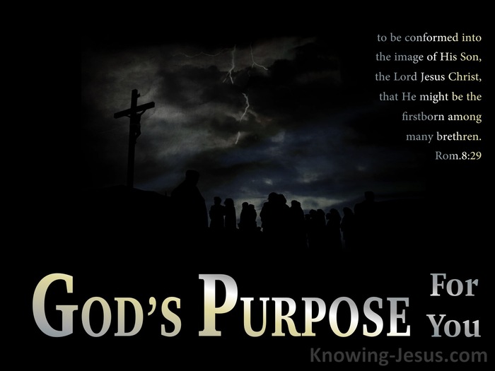 Romans 8:29  God's Purpose For You (devotional)06:02 (black)