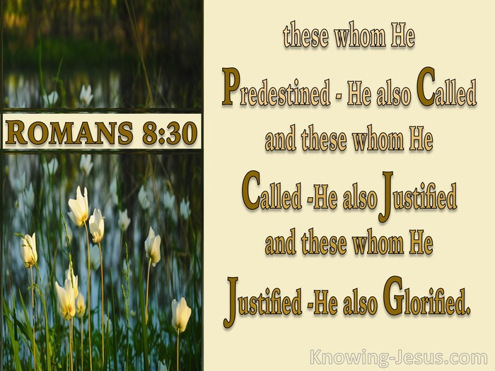 Romans 8:30 Foreknown Predestined Called Justified Glorified (cream)