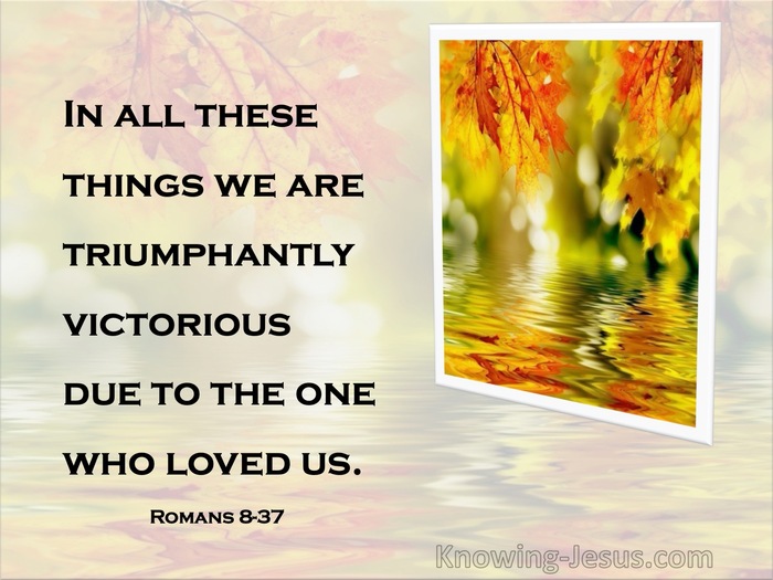 Romans 8:37  In All These Things, We Are More Than Conquerors (yellow)