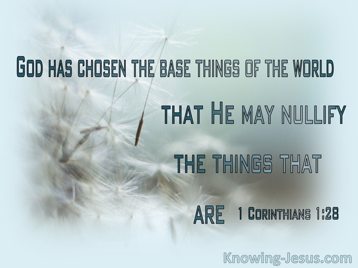 1 Corinthians 1:28 The Things Which Are Despised God Has Chosen (white)