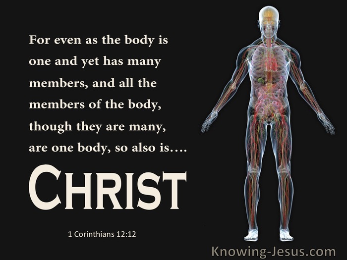 59 Bible Verses About The Body