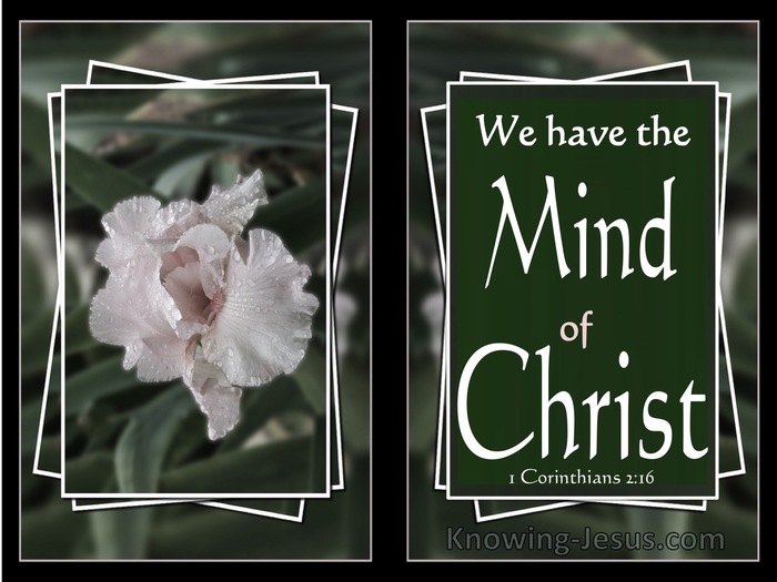 1 Corinthians 2:16 We Have The Mind Of Christ (white)