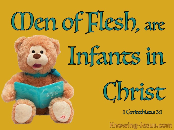 1 Corinthians 3:1 Men Of Flesh Are Infants In Christ (aqua)