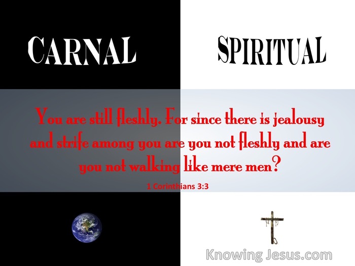 1 Corinthians 3:3 Are You Not Still Carnal (red)
