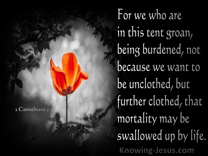 2 Corinthians 5:4 We Who Are In This Tent Groan, Being Burdened (black)