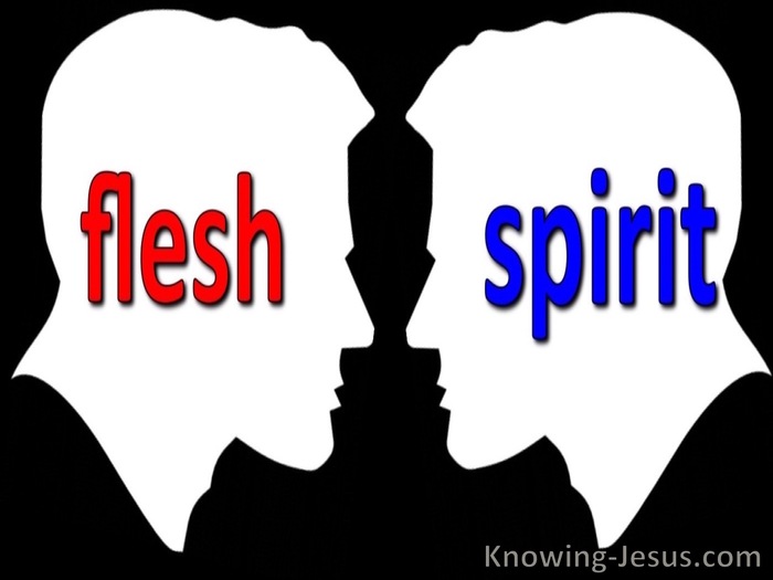 Galatians 5:17  Flesh Lusts Against Spirit (white)