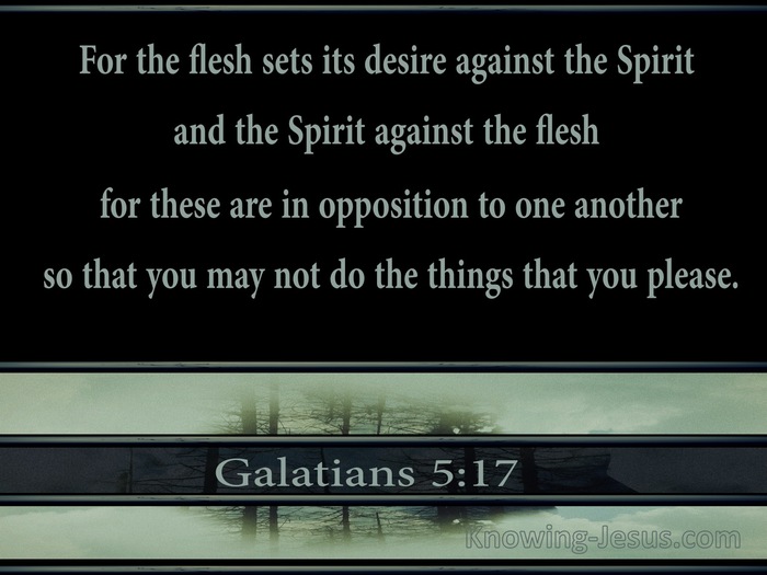 Galatians 5:17 The Flesh Lusts Against The Spirit (sage)