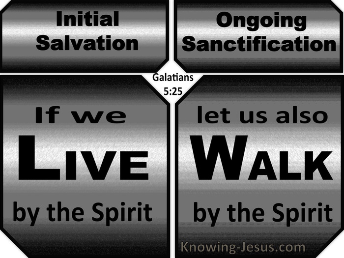 Galatians 5:25 Live And Walk By The Spirit (gray)