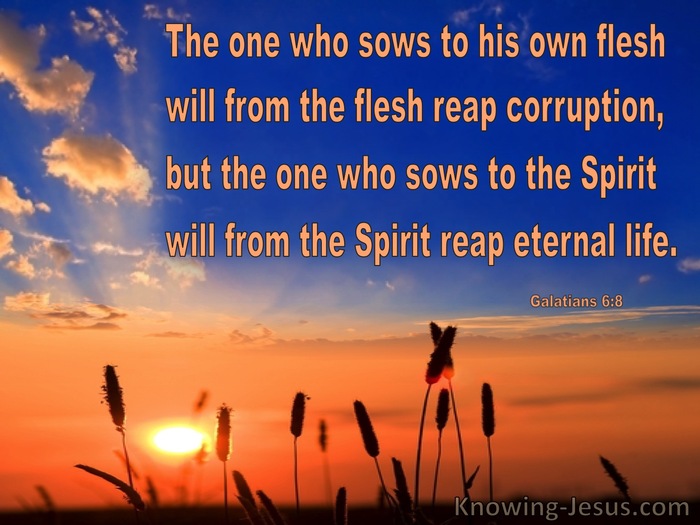 Galatians 6:8 Sowing To The Flesh and Spirit (blue)