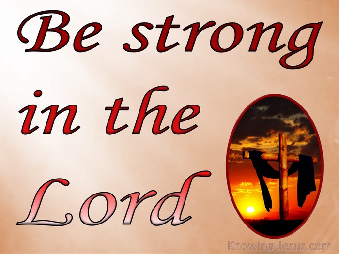 Ephesians 6:10-11 In conclusion, be strong in the Lord [draw your