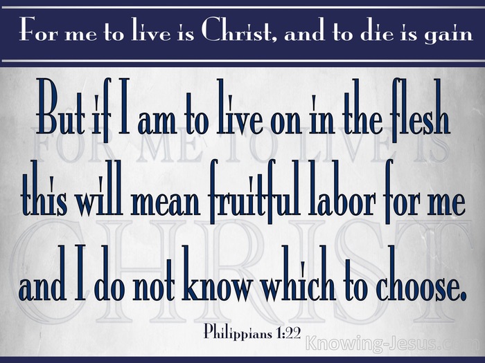 Philippians 1:22 To Live Is Fruitful Labour For Me (gray)