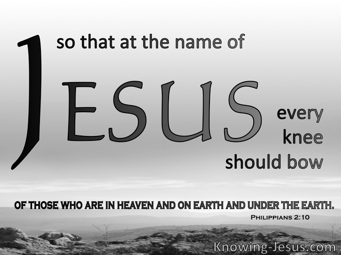 Philippians 2:10 At The Name of Jesus Every Knee Will Bow (gray)