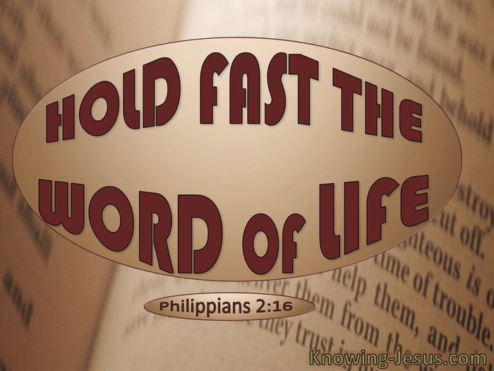 Philippians 2:16 Hold Fast The Word Of Life (red)