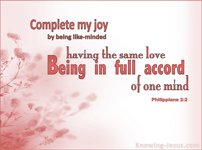 Philippians 2:2 Complete My Joy (pink)