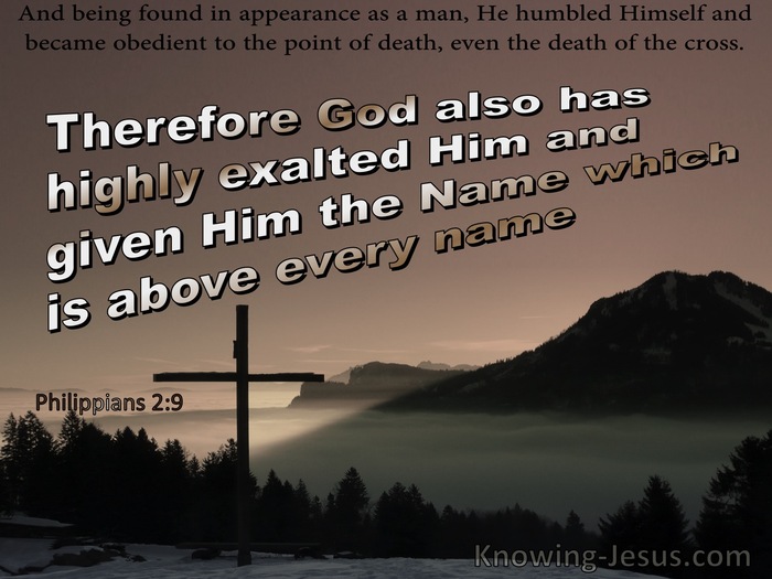 Philippians 2:9 God Highly Exaulted Him With The Name Above Every Name (brown)