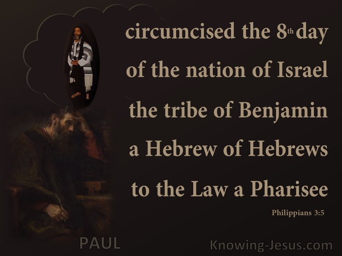 Philippians 3:5 Paul A Hebrews Of Hebrews (brown)