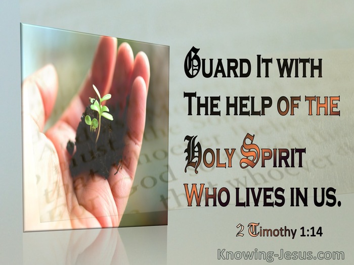 2 Timothy 1:14 Guard The Treasure Entrusted To You (brown)