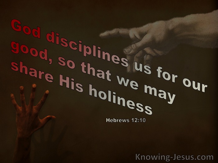 Hebrews 12:10 God Disciplines Us So We May Share His Holiness (brown)