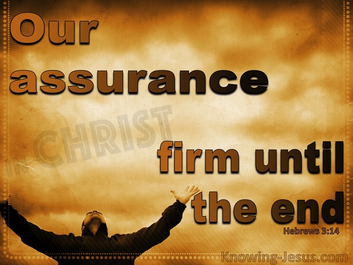 Hebrews 3:14 Our Assurance Firm To The End (brown)