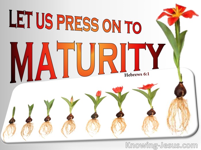 21 Bible Verses About Belief In God