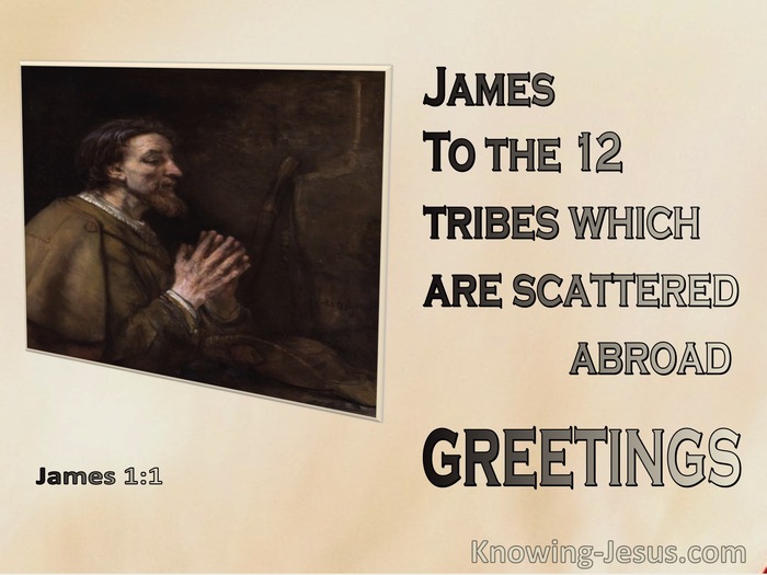 James 1:1 James To the 12 Tribes Which Are Scattered Abroad (pink)