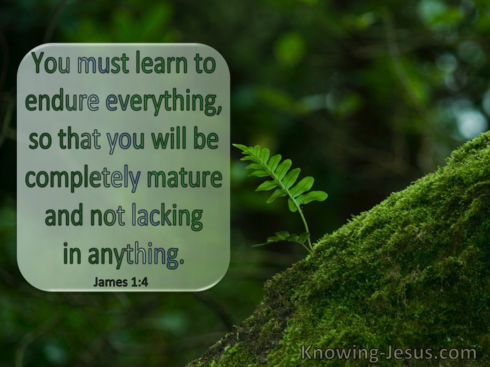 James 1:4 Endure Everything So You Wil Be Completely Mature : Lacking Nothing (windows)03:12