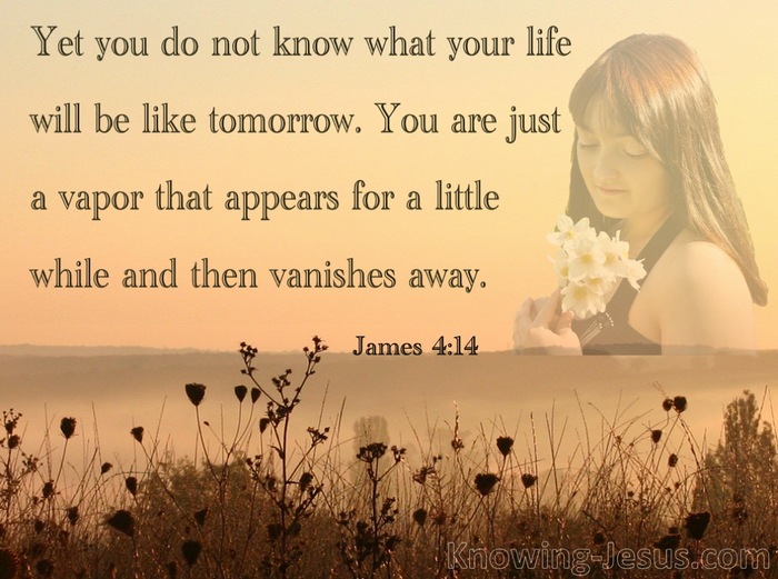 James 4:14 You Are Just A Vapor (brown)
