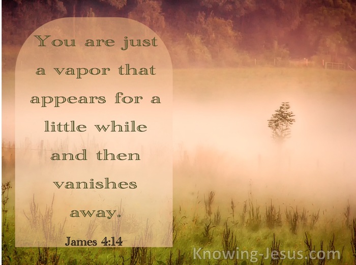 James 4:14 You Are Just A Vapor (sage)