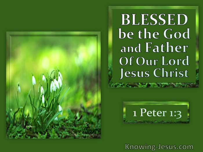 1 Peter 1:3  He Gave Us New Birth (white)