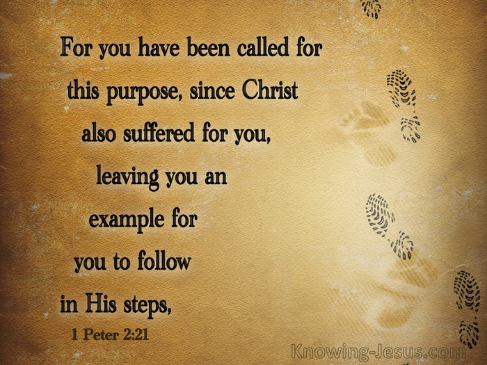 1 Peter 2:22 You Have Been Called For This Purpose (brown)