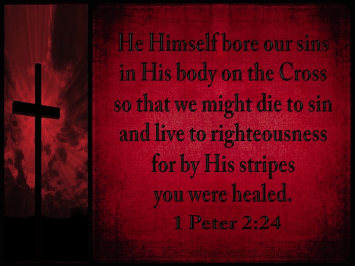 1 Peter 2:24 He Bore Our Sins (black)