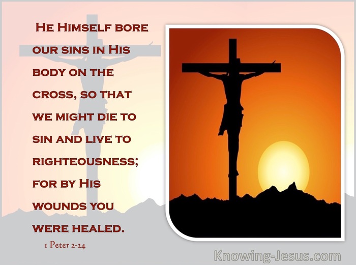 1 Peter 2:24 Who His Own Self Bare Our Sins In His Own Body On The Tree (orange)